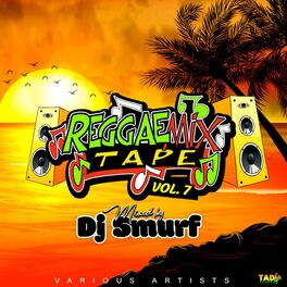 Album cover of Reggae Mix Tape, Vol.7 (Mixed by DJ Smurf)