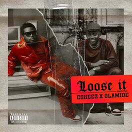 Album cover of Loose It