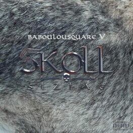 Album cover of Baboulousquare 5 (Skoll)