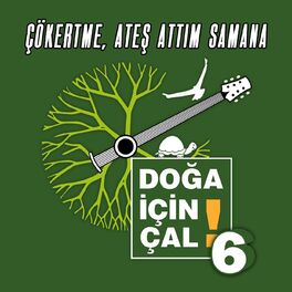 Album cover of Çökertme, Ateş Attım Samana (Gımıldan)