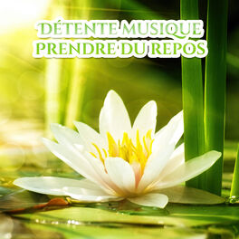 Album picture of Détente musique: Prendre du repos - New age et zen pour la relaxation profonde, Yoga, Massage apaisant, Tai chi, Sons de la nature