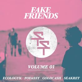 Album cover of Fake Friends, Vol. 1
