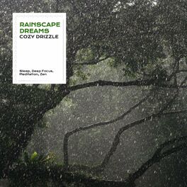 Album cover of Rainscape Dreams