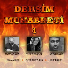 Album cover of Dersim Muhabbeti 1