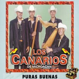 Album cover of Puras Buenas