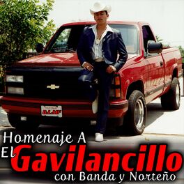 Album cover of Homenaje a El Gavilancillo con Banda y Norteño