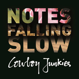 Album cover of Notes Falling Slow