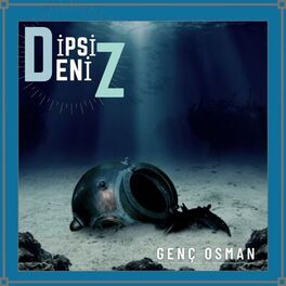 Album cover of Dipsiz Deniz
