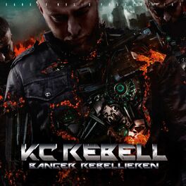 Album cover of Banger Rebellieren (Deluxe Version)