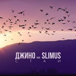 Album cover of Стаи