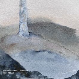 Album cover of Changes (VAZ REMIX)