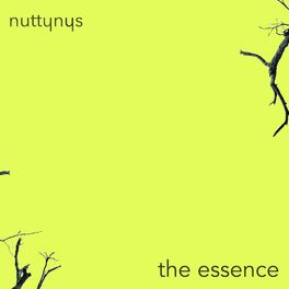 Album cover of The Essence