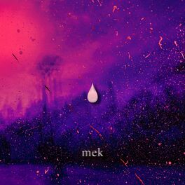 Album cover of Mek