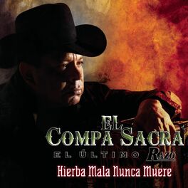Album cover of Hierba Mala Nunca Muere