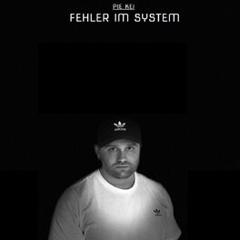 Album cover of Fehler im System