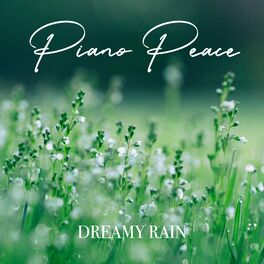 Album cover of Dreamy Rain