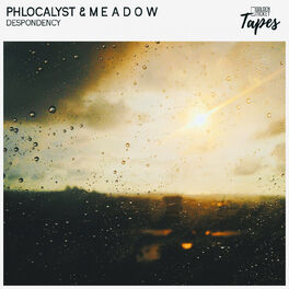 Album cover of Despondency