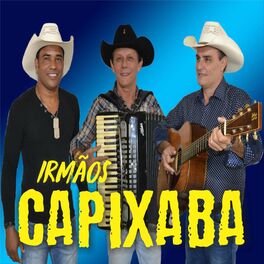 Album cover of Irmãos Capixaba, Vol. 10