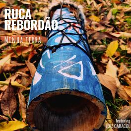 Album cover of Minha Terra