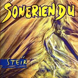 Album cover of Steir