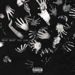 Album cover of Reap What You Sow