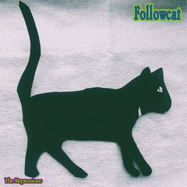 Album cover of Followcat