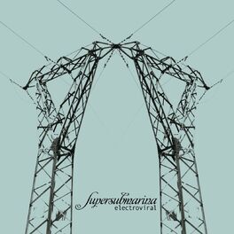 Album cover of Electroviral