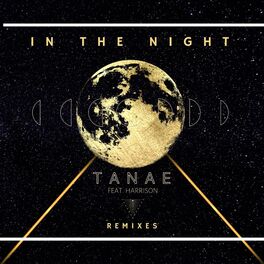 Album cover of In The Night (Ominous Remix)