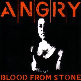 Album cover of Blood From Stone
