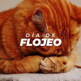 Album cover of Día de flojeo