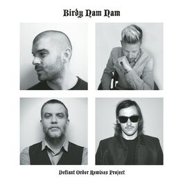 Album cover of Defiant Order (Remixes Project)