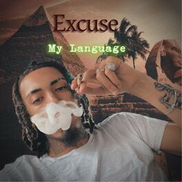Album cover of Excuse My Language (feat. stickz)