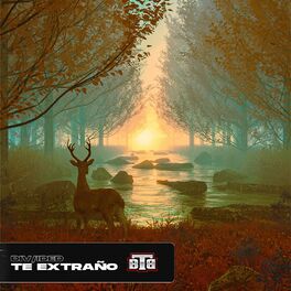 Album cover of Te Extraño