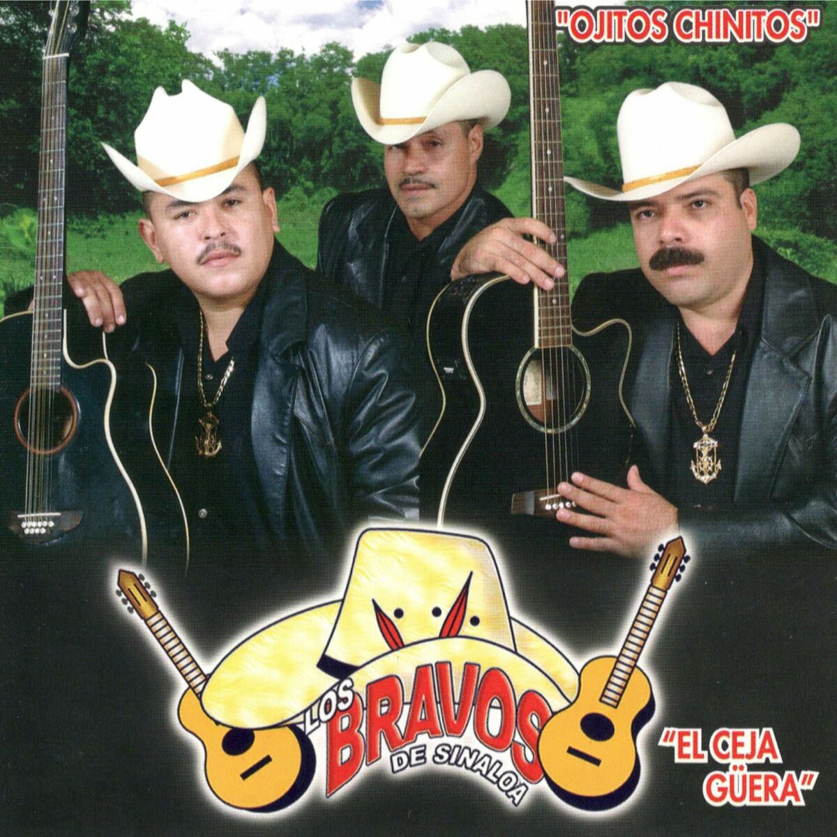 Los Bravos De Sinaloa: albums, songs, playlists | Listen on Deezer