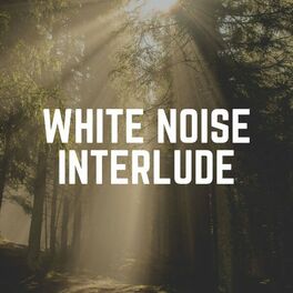 Album cover of White Noise Interlude