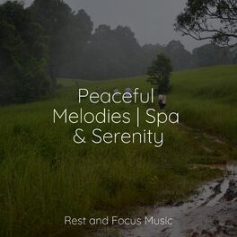 Album cover of Peaceful Melodies | Spa & Serenity