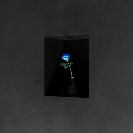 Album cover of Beyond