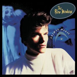 Album cover of Choices, The Single Collection