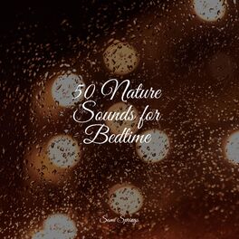 Album cover of 50 Nature Sounds for Bedtime