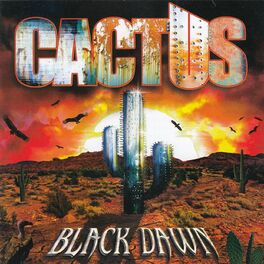 Album cover of Black Dawn