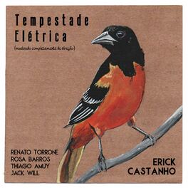 Album cover of Tempestade Elétrica (Mudando Completamente de Direção)