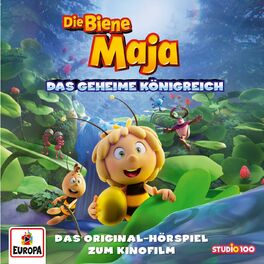 Album cover of Das geheime Königreich (Das Original-Hörspiel zum Kinofilm)