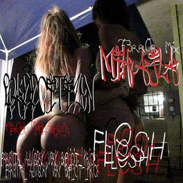 Album cover of Flesh (feat. Luci4)