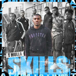 Album cover of Skills