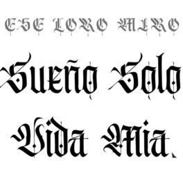 Album cover of Sueño Solo Vida Mia