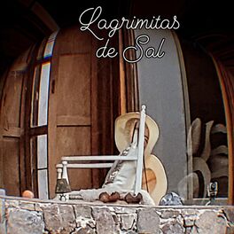 Album cover of Lagrimitas de sal