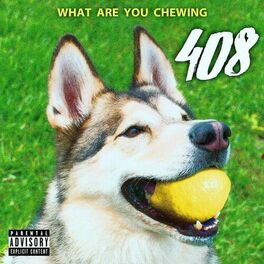 Album cover of What Are You Chewing