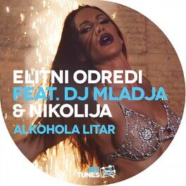 Album cover of Alkohola Litar