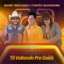 Album cover of Tô Voltando pra Goiás