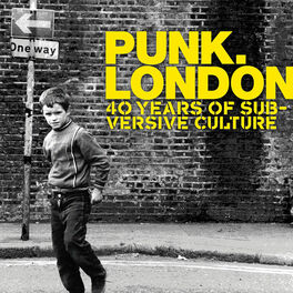 Album cover of Punk 40